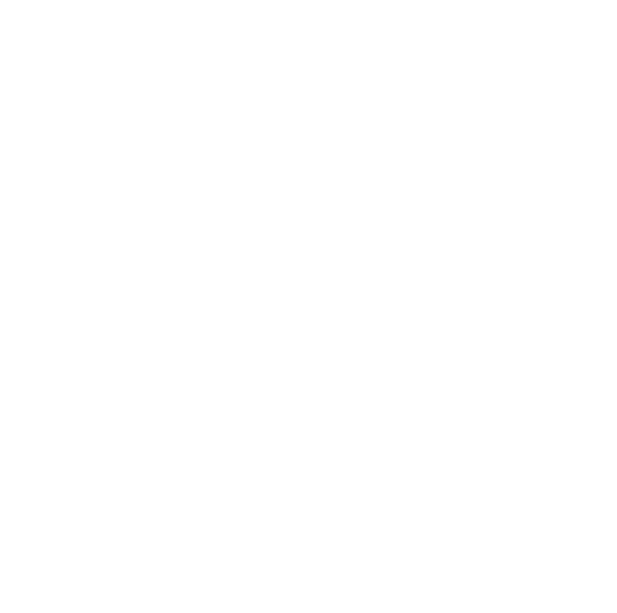 Pall Ant Hajtástechnika logó fehér